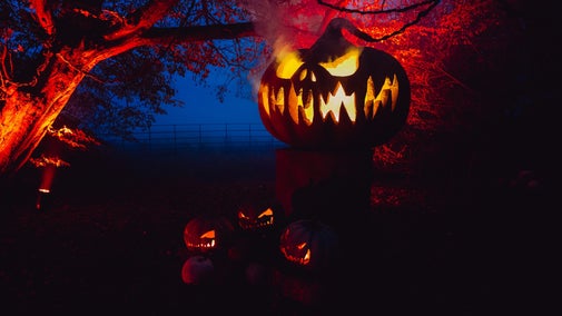 A large evil pumpkin display at Halloween at Wimpole